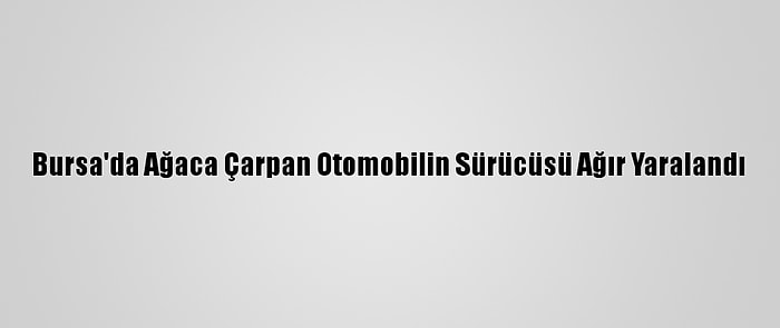 Bursa'da Ağaca Çarpan Otomobilin Sürücüsü Ağır Yaralandı