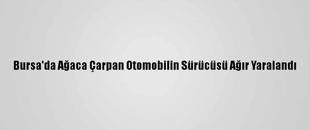 Bursa'da Ağaca Çarpan Otomobilin Sürücüsü Ağır Yaralandı