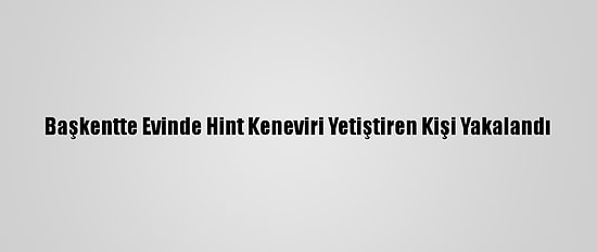Başkentte Evinde Hint Keneviri Yetiştiren Kişi Yakalandı