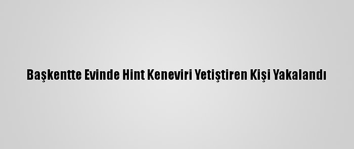 Başkentte Evinde Hint Keneviri Yetiştiren Kişi Yakalandı