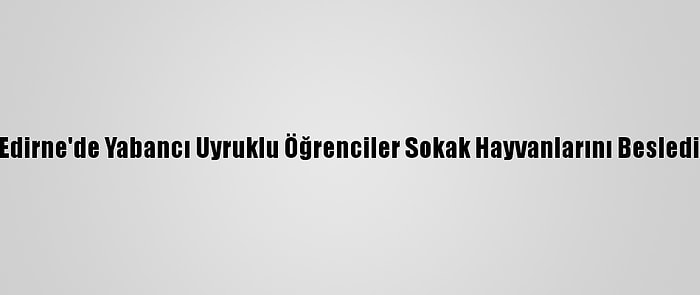 Edirne'de Yabancı Uyruklu Öğrenciler Sokak Hayvanlarını Besledi