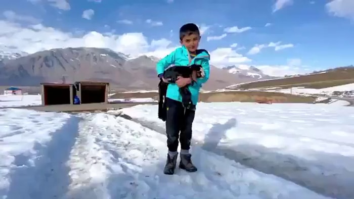 Tunceli'de Yaşayan Küçük Mahir'den Hayvanlara Sevgi Saati: '24 Saat Seviyoruz, Yoksa Küsüyorlar'