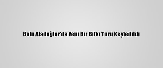 Bolu Aladağlar'da Yeni Bir Bitki Türü Keşfedildi