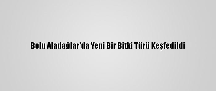 Bolu Aladağlar'da Yeni Bir Bitki Türü Keşfedildi