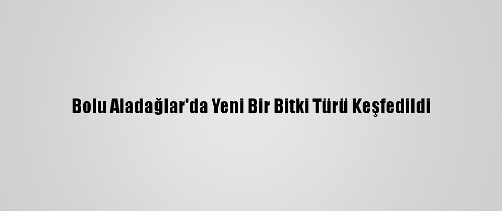 Bolu Aladağlar'da Yeni Bir Bitki Türü Keşfedildi
