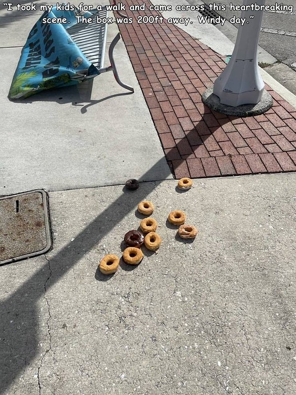 15. "Вышел сегодня со своими детьми на прогулку, и мы наткнулись на эту душераздирающую сцену. Коробка лежала в 60 метрах. Ветреный сегодня денек!"