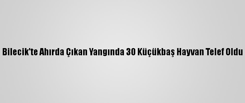 Bilecik'te Ahırda Çıkan Yangında 30 Küçükbaş Hayvan Telef Oldu
