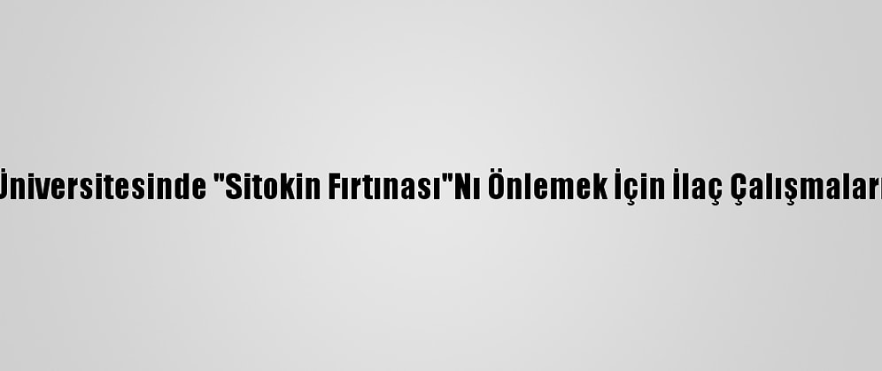 Boğaziçi Üniversitesinde "Sitokin Fırtınası"Nı Önlemek İçin İlaç Çalışmaları Yapılıyor