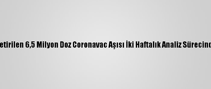 Türkiye'ye Getirilen 6,5 Milyon Doz Coronavac Aşısı İki Haftalık Analiz Sürecinden Geçecek