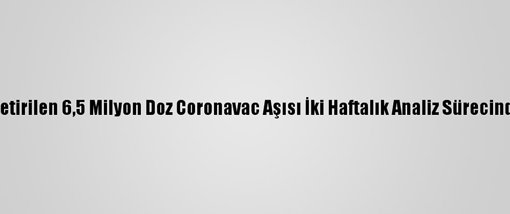 Türkiye'ye Getirilen 6,5 Milyon Doz Coronavac Aşısı İki Haftalık Analiz Sürecinden Geçecek