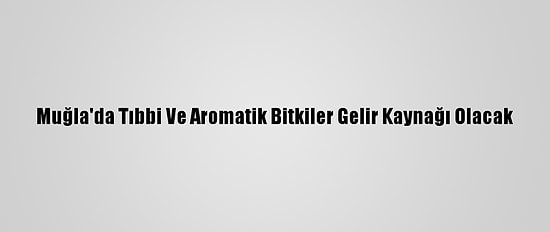 Muğla'da Tıbbi Ve Aromatik Bitkiler Gelir Kaynağı Olacak