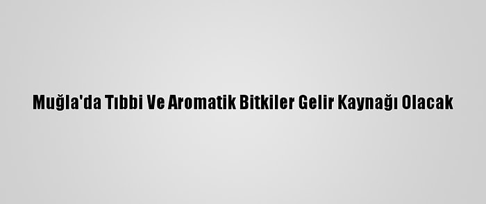 Muğla'da Tıbbi Ve Aromatik Bitkiler Gelir Kaynağı Olacak