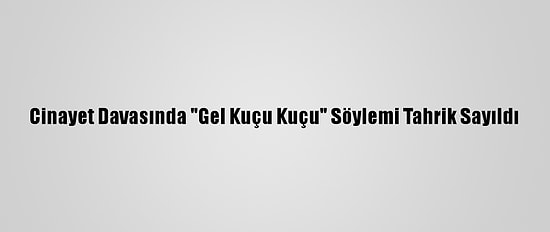 Cinayet Davasında "Gel Kuçu Kuçu" Söylemi Tahrik Sayıldı