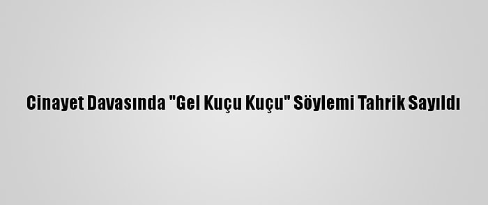 Cinayet Davasında "Gel Kuçu Kuçu" Söylemi Tahrik Sayıldı