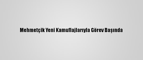 Mehmetçik Yeni Kamuflajlarıyla Görev Başında