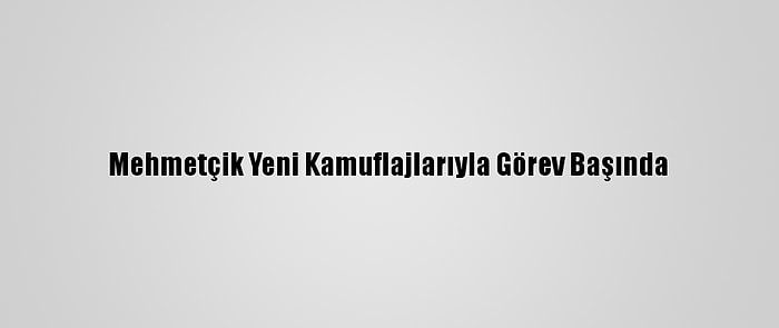 Mehmetçik Yeni Kamuflajlarıyla Görev Başında