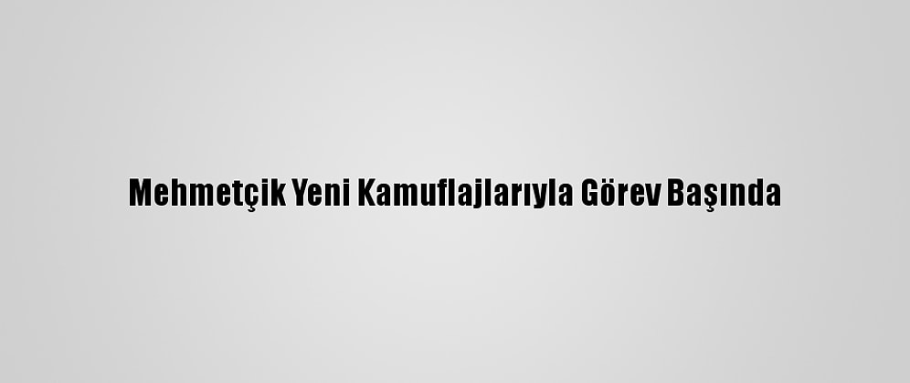 Mehmetçik Yeni Kamuflajlarıyla Görev Başında