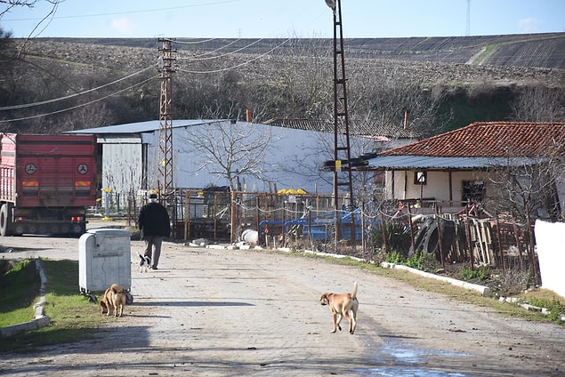 'Misafirlikleri Kestik'