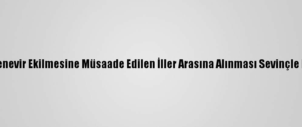 Sivas'ın Kenevir Ekilmesine Müsaade Edilen İller Arasına Alınması Sevinçle Karşılandı