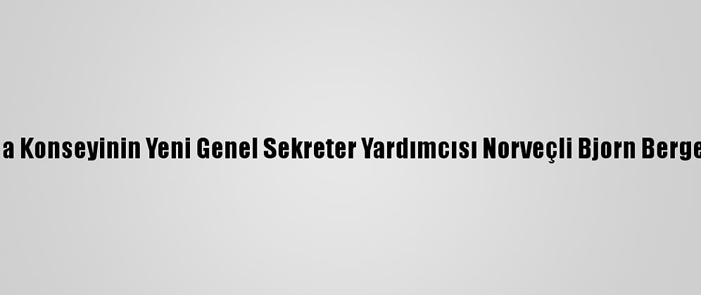 Avrupa Konseyinin Yeni Genel Sekreter Yardımcısı Norveçli Bjorn Berge Oldu