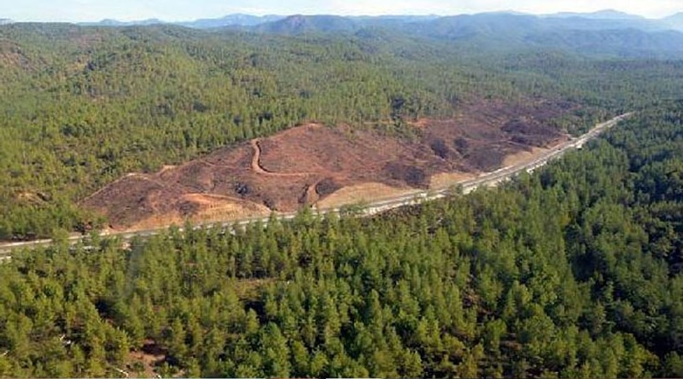 Ülke Genelinde 133 Altın Madeni Ruhsatı Verilmiş