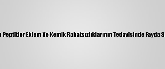 Kolajen Peptitler Eklem Ve Kemik Rahatsızlıklarının Tedavisinde Fayda Sağlıyor