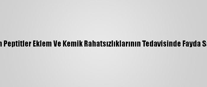 Kolajen Peptitler Eklem Ve Kemik Rahatsızlıklarının Tedavisinde Fayda Sağlıyor