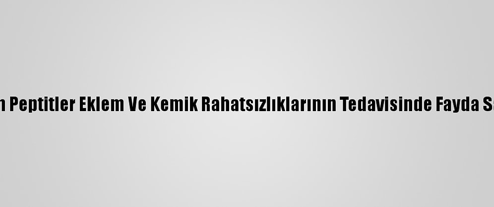 Kolajen Peptitler Eklem Ve Kemik Rahatsızlıklarının Tedavisinde Fayda Sağlıyor