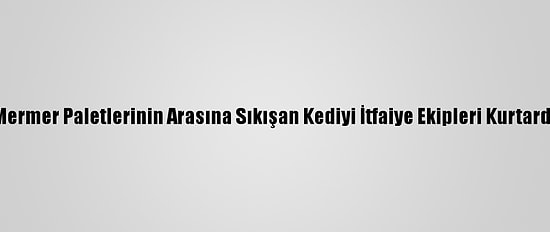 Mermer Paletlerinin Arasına Sıkışan Kediyi İtfaiye Ekipleri Kurtardı