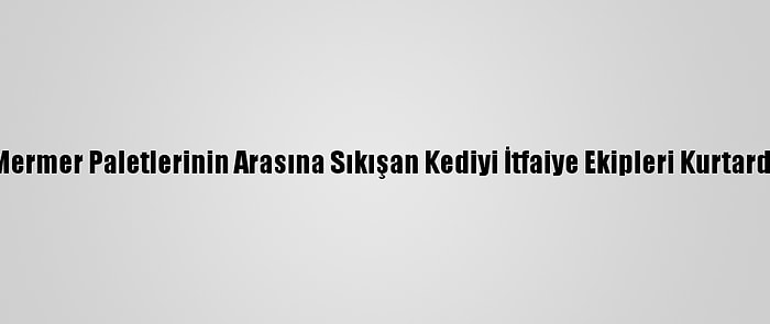 Mermer Paletlerinin Arasına Sıkışan Kediyi İtfaiye Ekipleri Kurtardı