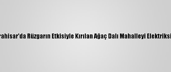 Afyonkarahisar'da Rüzgarın Etkisiyle Kırılan Ağaç Dalı Mahalleyi Elektriksiz Bıraktı
