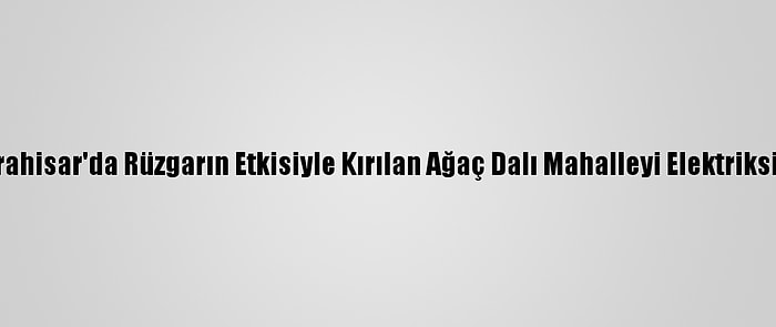 Afyonkarahisar'da Rüzgarın Etkisiyle Kırılan Ağaç Dalı Mahalleyi Elektriksiz Bıraktı