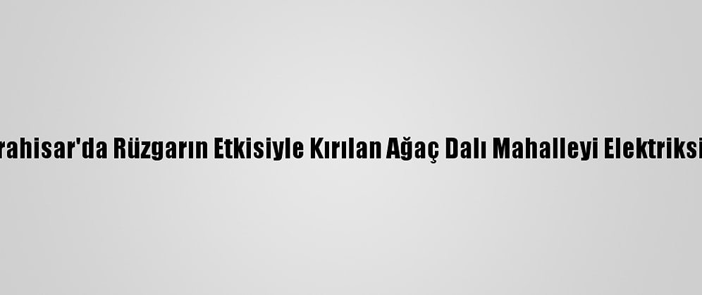 Afyonkarahisar'da Rüzgarın Etkisiyle Kırılan Ağaç Dalı Mahalleyi Elektriksiz Bıraktı