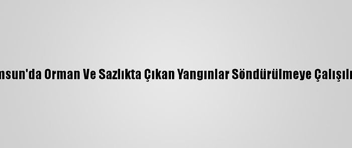 Samsun'da Orman Ve Sazlıkta Çıkan Yangınlar Söndürülmeye Çalışılıyor