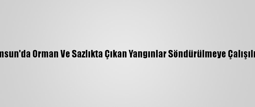 Samsun'da Orman Ve Sazlıkta Çıkan Yangınlar Söndürülmeye Çalışılıyor