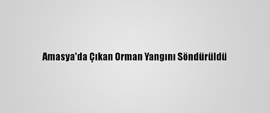 Amasya'da Çıkan Orman Yangını Söndürüldü