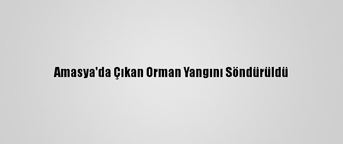 Amasya'da Çıkan Orman Yangını Söndürüldü