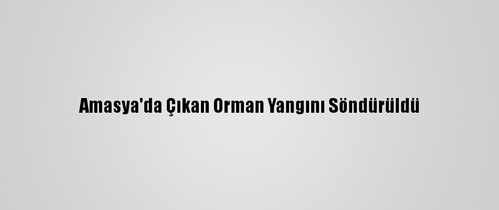 Amasya'da Çıkan Orman Yangını Söndürüldü