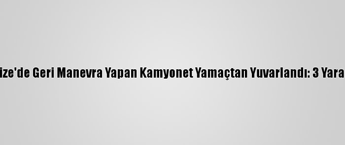 Rize'de Geri Manevra Yapan Kamyonet Yamaçtan Yuvarlandı: 3 Yaralı