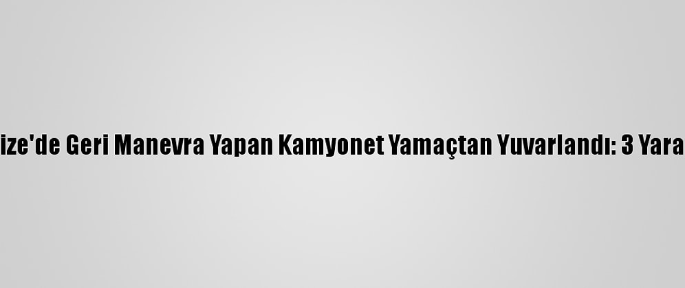Rize'de Geri Manevra Yapan Kamyonet Yamaçtan Yuvarlandı: 3 Yaralı