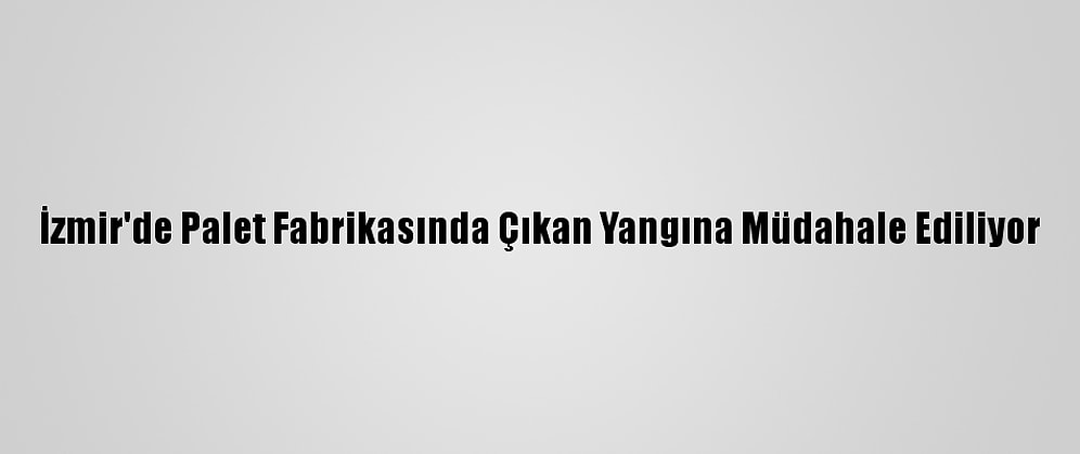 İzmir'de Palet Fabrikasında Çıkan Yangına Müdahale Ediliyor