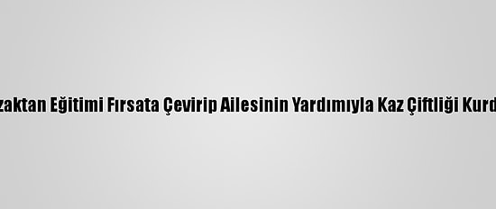 Uzaktan Eğitimi Fırsata Çevirip Ailesinin Yardımıyla Kaz Çiftliği Kurdu