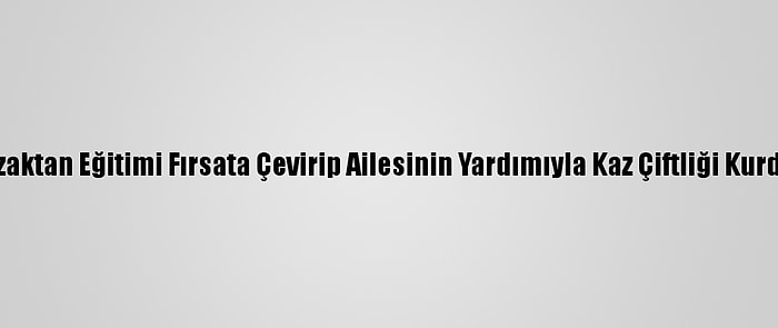 Uzaktan Eğitimi Fırsata Çevirip Ailesinin Yardımıyla Kaz Çiftliği Kurdu