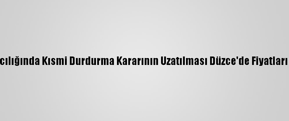 Hamsi Avcılığında Kısmi Durdurma Kararının Uzatılması Düzce'de Fiyatları Yükseltti