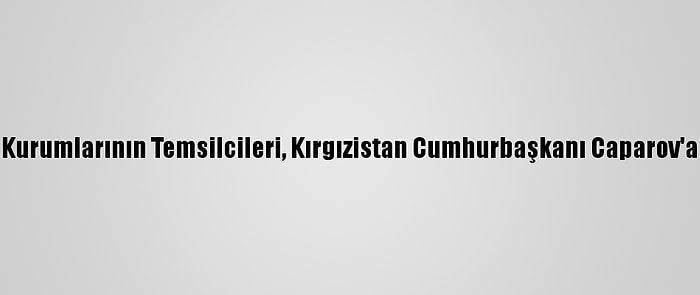 Türk Dünyası Kurumlarının Temsilcileri, Kırgızistan Cumhurbaşkanı Caparov'a Başarı Diledi