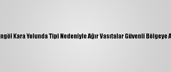 Muş-Bingöl Kara Yolunda Tipi Nedeniyle Ağır Vasıtalar Güvenli Bölgeye Alınıyor