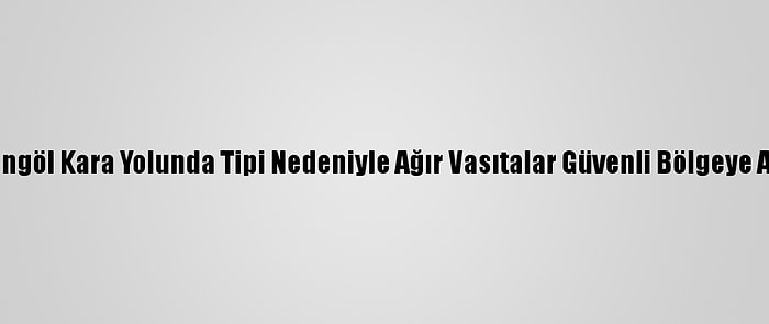 Muş-Bingöl Kara Yolunda Tipi Nedeniyle Ağır Vasıtalar Güvenli Bölgeye Alınıyor