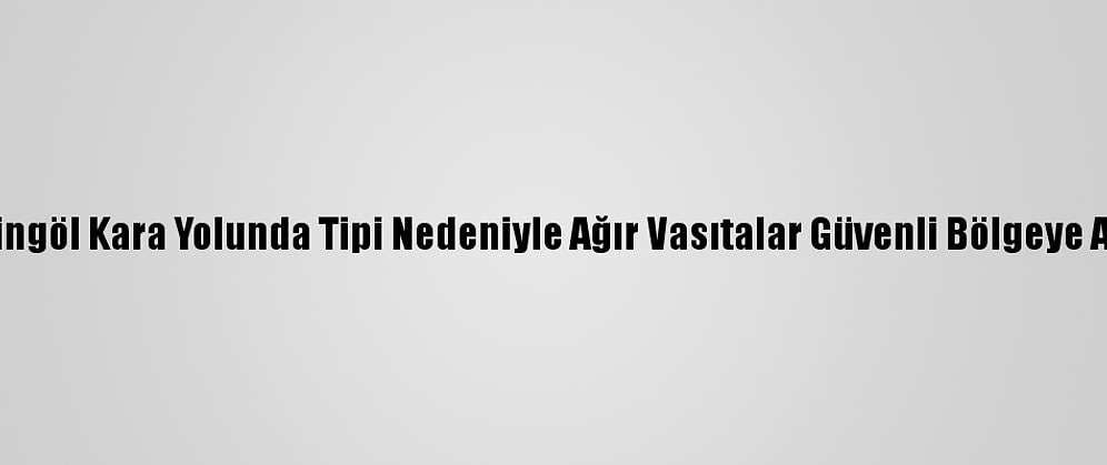Muş-Bingöl Kara Yolunda Tipi Nedeniyle Ağır Vasıtalar Güvenli Bölgeye Alınıyor