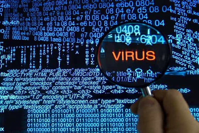 Nipah Virüsü Korkusu! Nipah Virüsü Nedir? Nipah Virüsü İnsandan İnsana Bulaşır Mı?