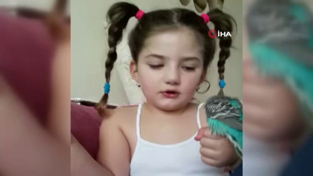 Ölen Kuşu İçin 'Yüreğimin Parçasıydın Sen' Diye Gözyaşı Döken Küçük Zeynep
